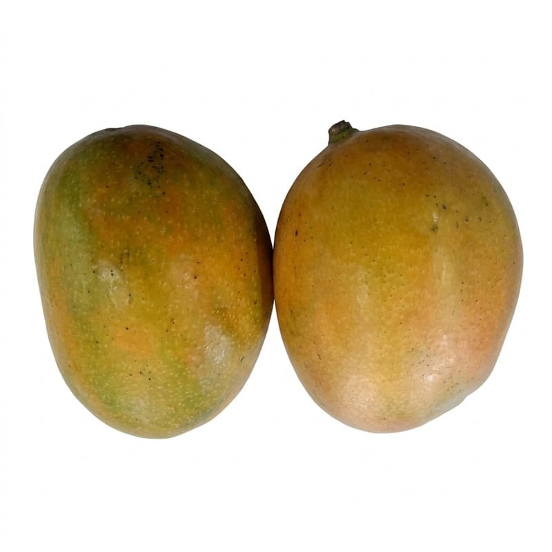 Julie Mangoes