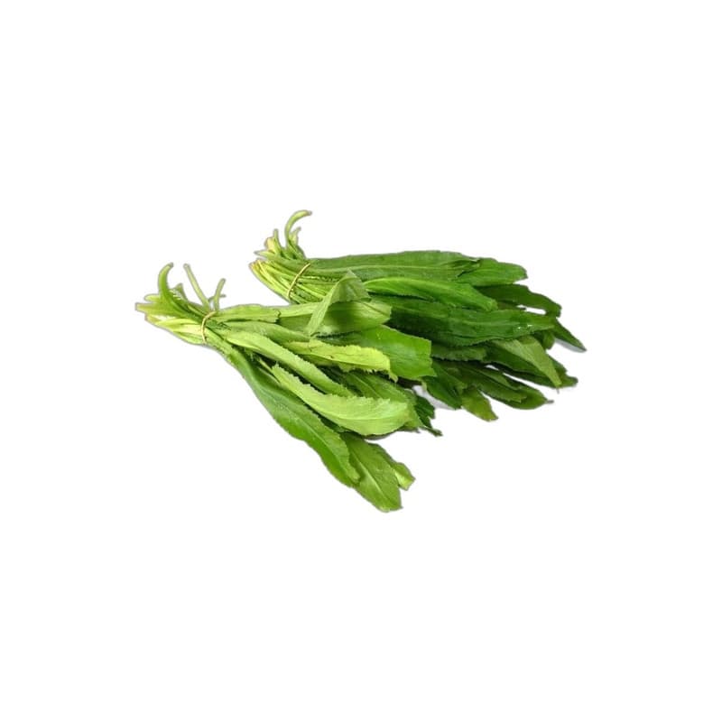 Chadon Beni (Culantro)