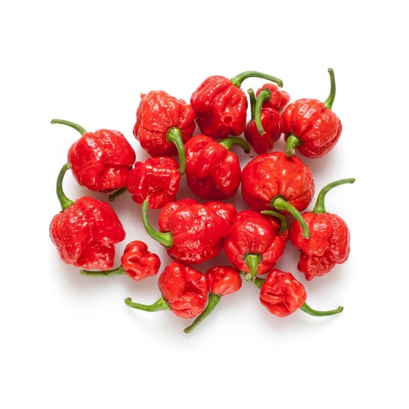 Scorpion Pepper